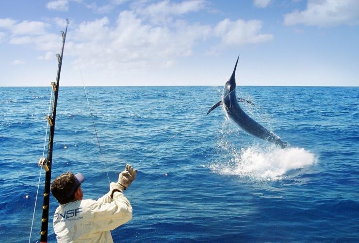 What to Bring for Deep Sea Fishing 